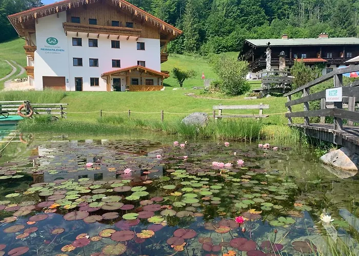 Naturhotel Reissenlehen 4* 비쇼프스비에젠